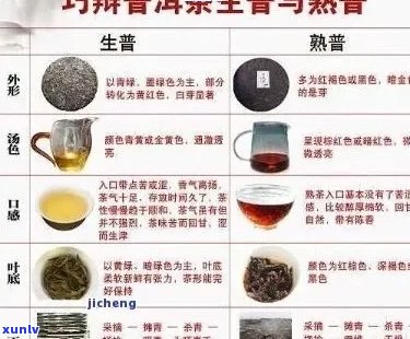 普洱茶的性质：寒性还是热性？探讨其营养与健功效及饮用禁忌