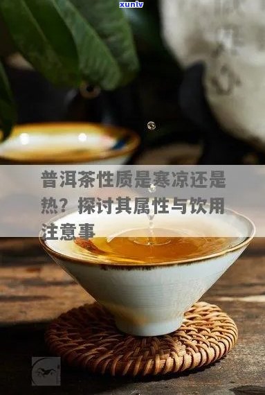 普洱茶的性质：寒性还是热性？探讨其营养与健功效及饮用禁忌