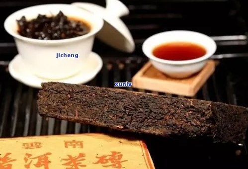 普洱茶的秘密：你所不知道的品饮陷阱