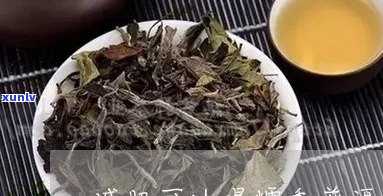 喝糯香普洱茶减肥吗