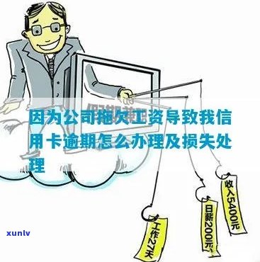 因拖欠工资导致信用卡逾期损失，怎么办？