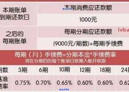 信用卡逾期还款政策全面解析：如何查询、计算和解决逾期问题