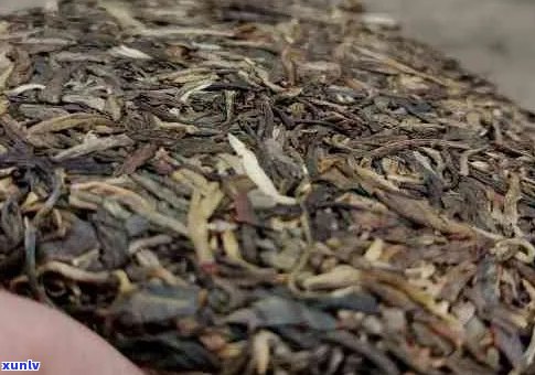 新疆普洱茶价格及销量情况：新疆普洱茶一斤售价？新茶多少钱一斤？