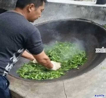 普洱茶 *** 工艺之杀青技巧探讨：过重杀青对茶叶品质的影响