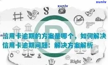 逾期信用卡报备：银行与联合处理解决方案