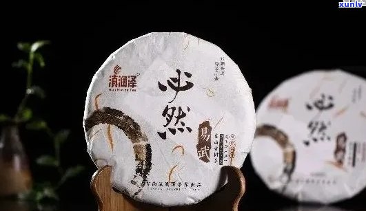 普洱茶品鉴：心境牌茶叶系列价格详解与选购指南