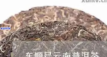 新普洱茶车顺号价格高昂，消费者质疑其价值与品质