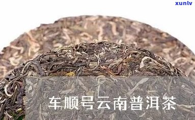 车顺号普洱茶的特点