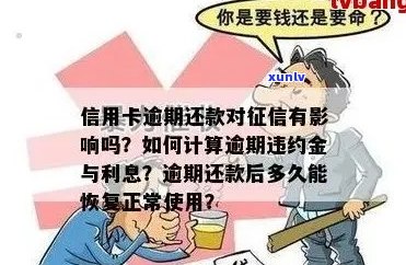 信用卡逾期还款：影响、恢复时间、利息和违约金、后果以及5天的影响