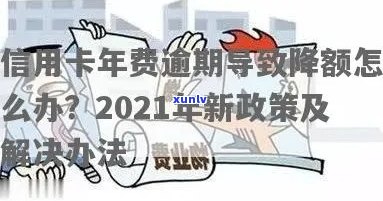 信用卡年费逾期14天怎么办？2021新政策解析