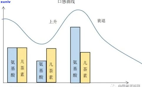 探索普洱茶的健益处：如何通过饮用提高新陈代谢率