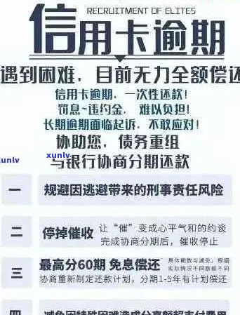 信用卡逾期全攻略：详细内容、应对措及预防策略一网打尽！