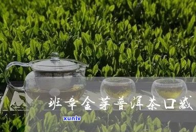 班章金芽普洱茶口感