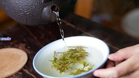 用什么杯子泡普洱茶好喝？用的泡茶器和相关建议