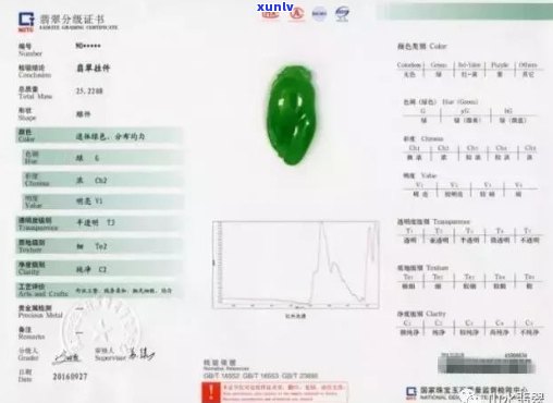 全面解析翡翠硬度测试仪：如何准确测量翡翠硬度及相关操作指南