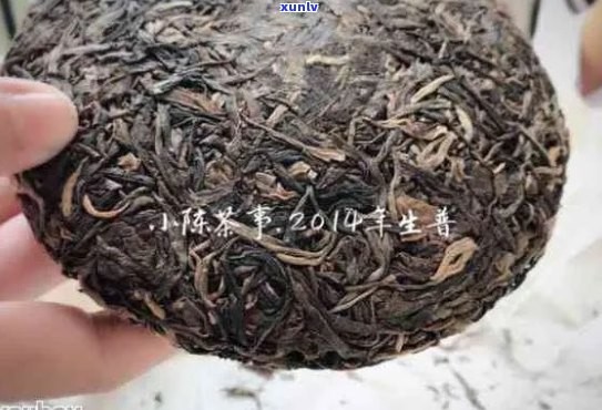 普洱茶的价格普通型