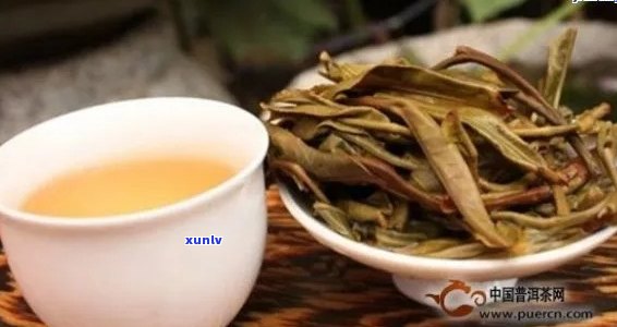 熟普洱茶根多正常吗