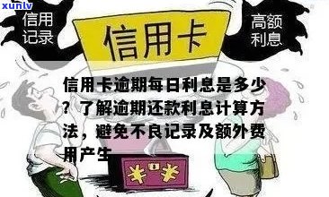 信用卡还款逾期计算：为何要减少逾期费用？