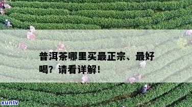 普洱茶正宗且便宜购买地推荐