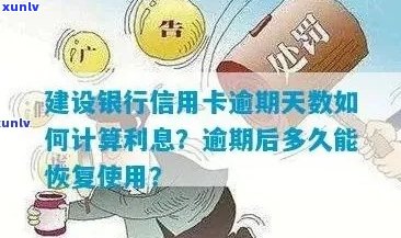 如何计算建行信用卡逾期利息：详尽解答与实用建议