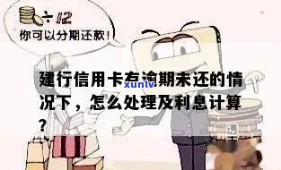 如何计算建行信用卡逾期利息：详尽解答与实用建议