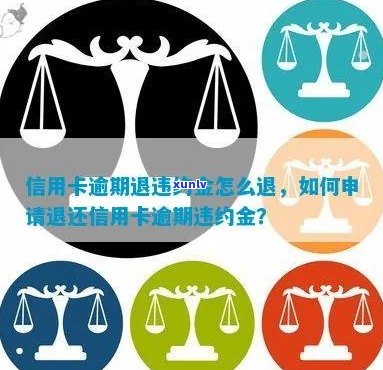 如何申请退除信用卡逾期违约金：全面指南与解决 *** 