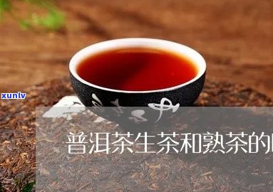 普洱茶生普与熟普的区别及其品尝技巧