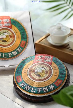 普洱茶港仓：特点、种类与选购指南 - 全面了解普洱茶港仓的一切