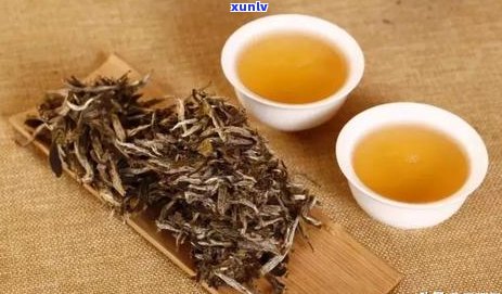 普洱茶鉴：如何品评优质普洱茶与避免劣质茶？