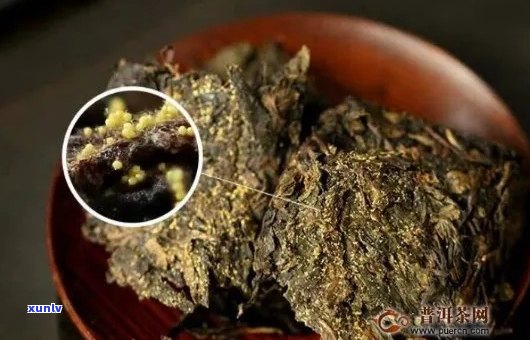 普洱茶饼中的黄色斑点是否影响饮用？如何处理？