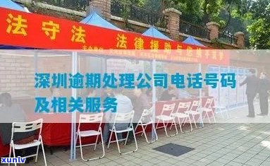 深圳法务处理中心 *** 、地址及热线信息汇总