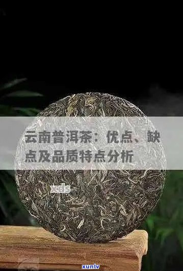 古树普洱茶的独特魅力与市场现状：优劣势分析