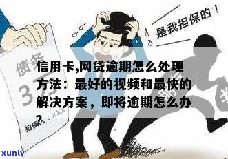 逾期信用卡与网贷处理策略：有效应对方案和实用技巧