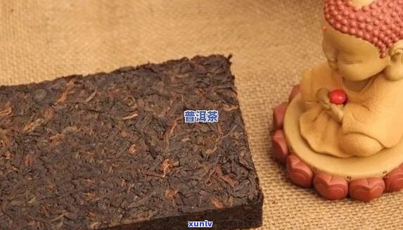 探索普洱茶砖熟茶的多重功效：从健到美容，全方位解析