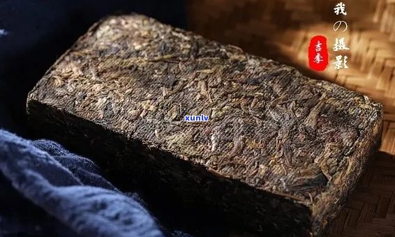 探索普洱茶砖熟茶的多重功效：从健到美容，全方位解析