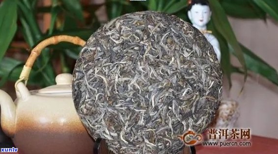 羽普洱茶价格及品质解析，从羽茶经看普洱茶的价值