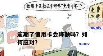 信用卡逾期后如何应对证据收集？全面解决方案助您应对信用危机