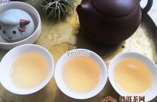 普洱茶26度：耐泡度测试与品饮体验探究