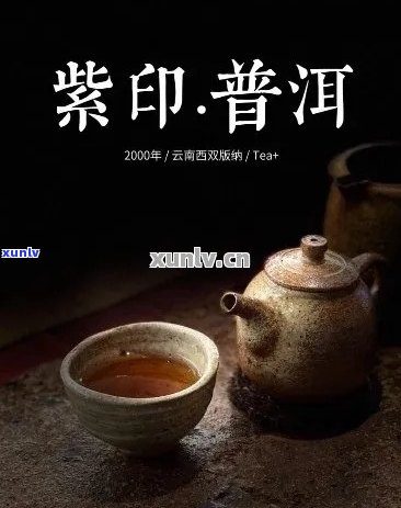 紫色普洱茶：一款独具魅力的茶叶品种及其选购与品鉴技巧