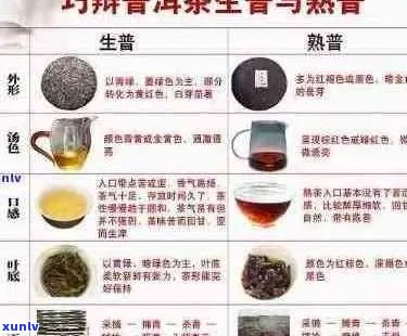 紫色普洱茶：一款独具魅力的茶叶品种及其选购与品鉴技巧