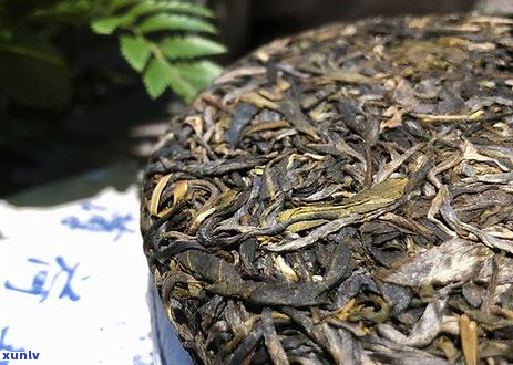 普洱茶体寒的人能喝不：体质寒可以喝普洱茶吗？