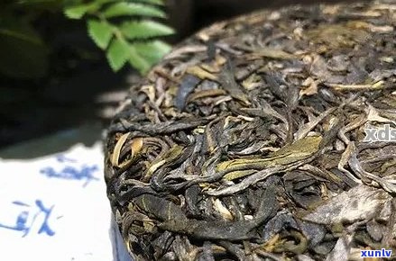 普洱茶体寒者能否饮用？如何选择适合自己的普洱茶？