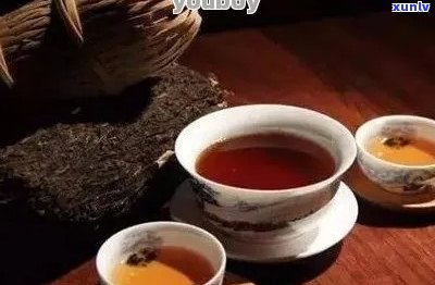 体质寒者是否适合饮用普洱茶？解答你的疑问与误区