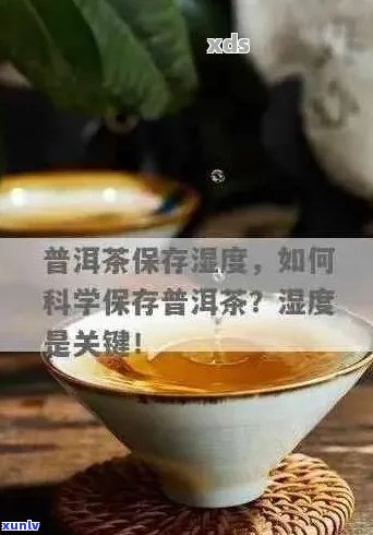 普洱茶存放的湿度