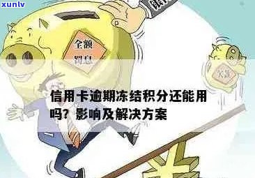 信用卡逾期被诉前冻结：处理 *** 与蓄卡影响解析