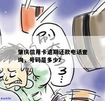 茶山地区信用卡逾期还款信息查询 *** 服务