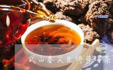 武山春尖生饼普洱茶