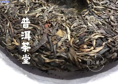 长毛普洱茶的品饮 *** 、影响与禁忌：你真的喝对了吗？