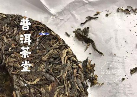 长毛普洱茶的品饮 *** 、影响与禁忌：你真的喝对了吗？