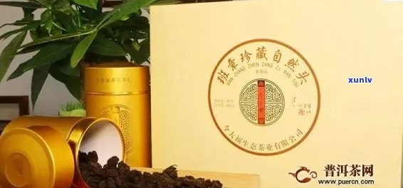 大益普洱茶与金大福茶叶的对比：品质、口感与价格分析